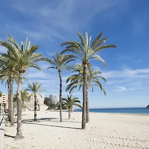 https://magalluf-strip-apartment.allmallorcahotels.com